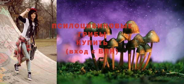 Альфа ПВП Балабаново
